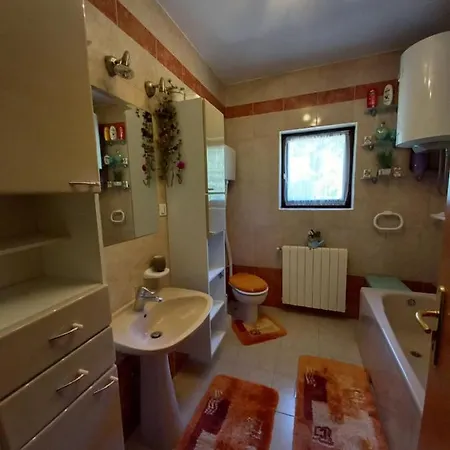 The Beautiful View *